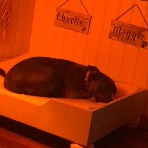 Meet your Posher, Letty